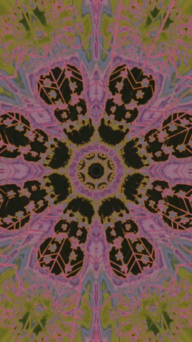Neon Tunnel Kaleidoscope Mandala Vj Loop 9:16 Reels 60fps Screensaver
