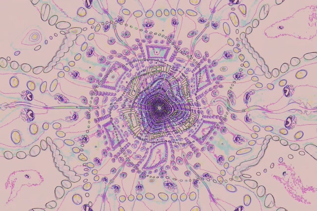 Neon Tonnel Kaleidoskoop Vortex VJ Loop 3:2 Surface 60fps Skermskakel