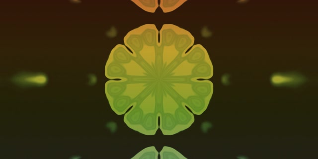 Neon Tonnel Fraktale Mandala Bloei VJ Loop 2:1 Univisium 60fps Skermbewaarder