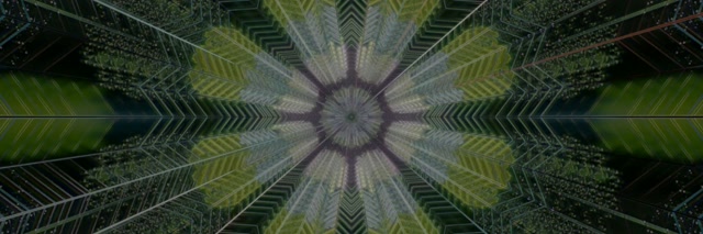 Kaleidoscope Neon Tunnel 3:1 Triple Wide 60fps VJ Loop Screensaver