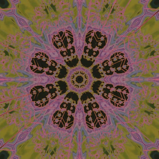 Neon Tunnel Blomster Kaleidoskop VJLoops 1:1 Kvadrat 60fps Pauseskærm