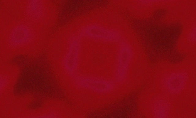 Neon Tunnel Lilla Firkant Hvirvel Vj Loop 5:3 Bred 60fps Pauseskærm