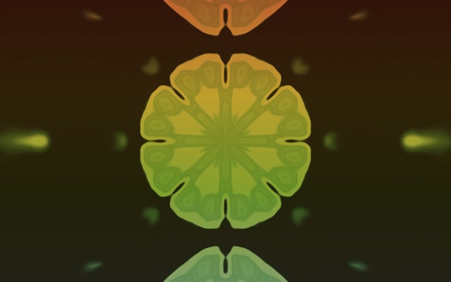 Neon Tunnel Fraktal Mandala Blomstring VJ Loop 16:10 MacBook 60fps Pauseskærm