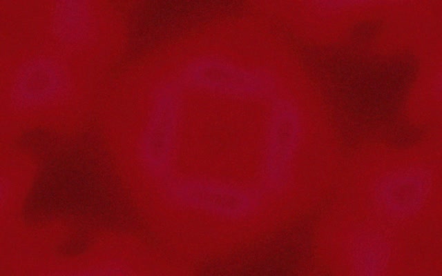 Neon Tunnel Lila Quadrat Vortex VJ Loop 16:10 MacBook 60fps Bildschirmschoner