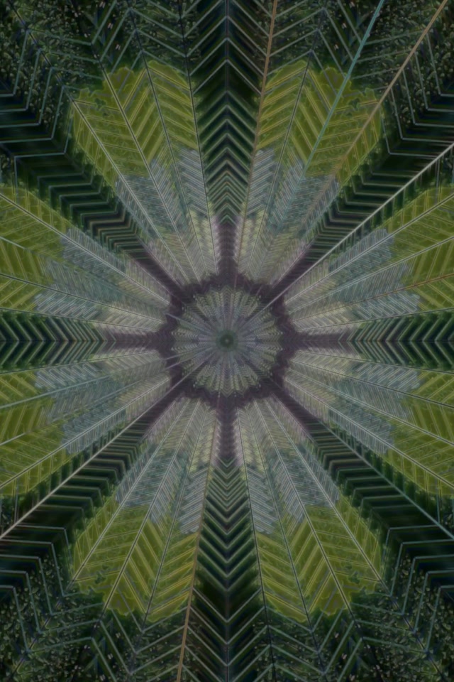 Radiant Leafy Mandala Neon Tunnel | 2:3 Portrait 60fps VJ Loop Screensaver