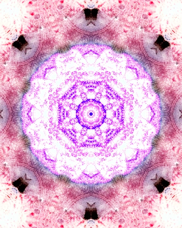 Túnel de Neón Rosa Púrpura Mandala Salvapantallas 60fps 4:5 Instagram VJLoops