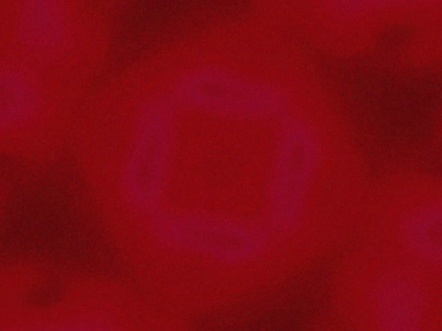 Túnel Neon Morado Cadrado Vórtice VJ Loop 4:3 Clásico 60fps Protector de Pantalla