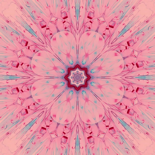 Túnel Neón Calidoscopio Mandala Rosa VJLoops 1:1 Cadrado 60fps Protector de Pantalla