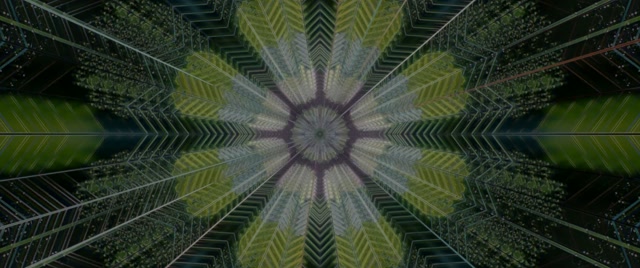 Kaleidoscope Neon Tunnel VJ Loop 2.39:1 Cinemascope 60fps Screensaver