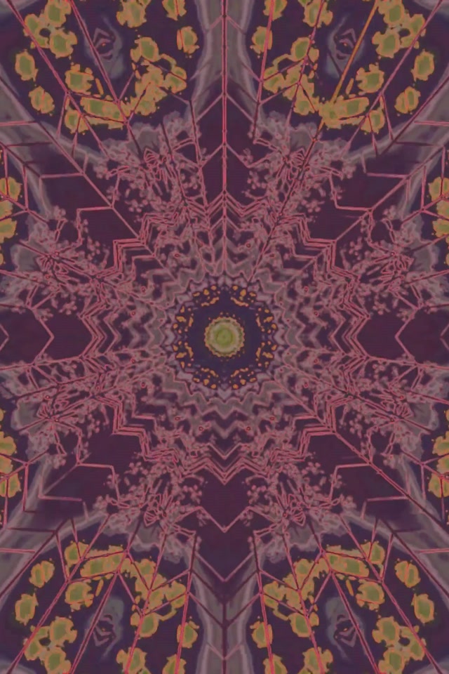 Terowongan Neon Mandala Bunga Kaleidoskop 2:3 Potret Foto 60fps Screensaver VJ Loop