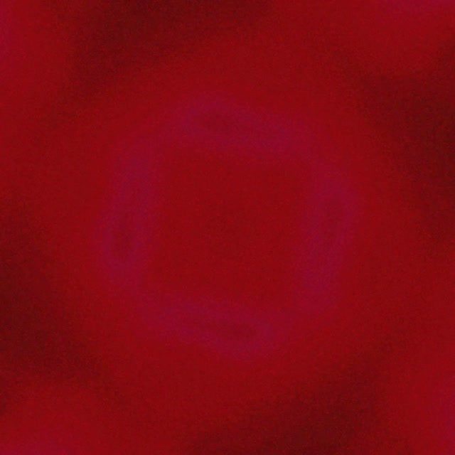 Terowongan Neon Ungu Persegi Berputar Vortex VJLoops 1:1 Persegi 60fps Screensaver