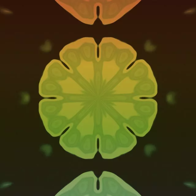 1:1 Quadrat Túnel de Neó Explosió de Caleidoscopi Radial Verd Àmbar 60fps Protector de Pantalla Animació VJ