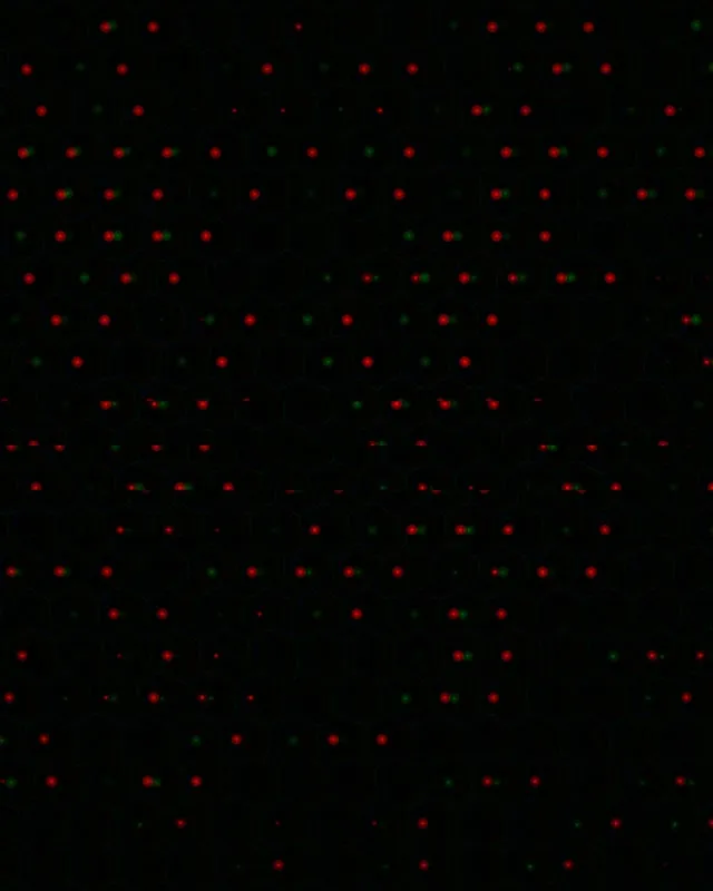 4:5 Instagram | 60fps Screensaver Live Wallpaper - Glowing Dot Animation