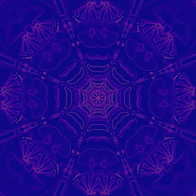Neon Tunnel Purple Spider Web Kaleidoscope VJ Loop 1:1 Square 60fps Screensaver