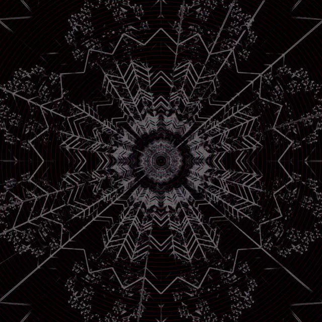 Tmavý Fraktální Kaleidoskop Neonový Tunel VJ Loop 1:1 Čtvercový 60fps Spořič