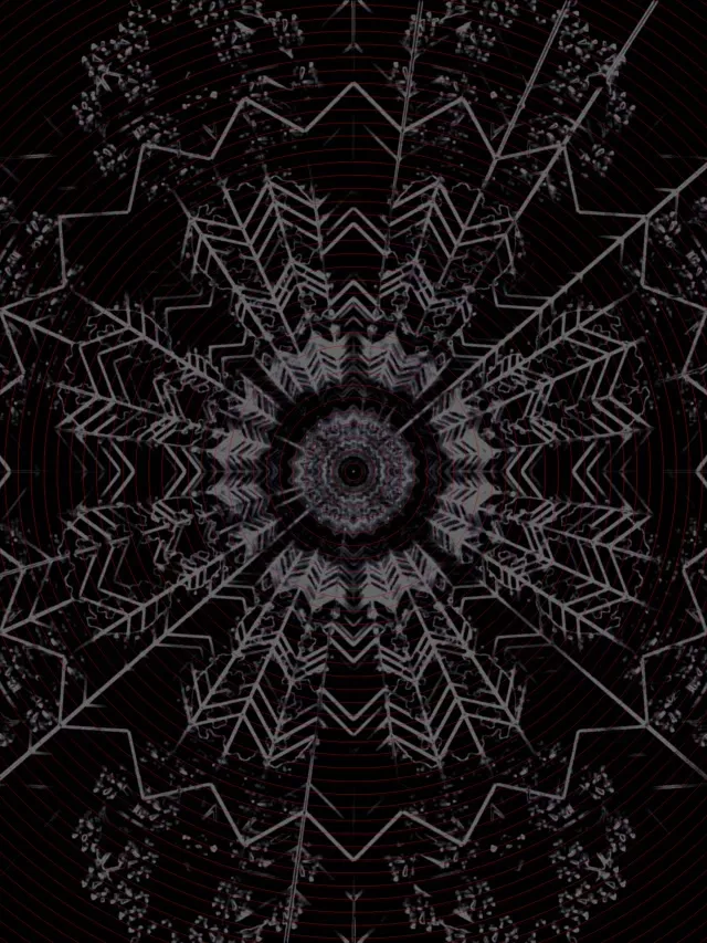 Fractal Întuneric Mandala Tunel Neon Screensaver 3:4 iPad Portrait 60fps VJLoops