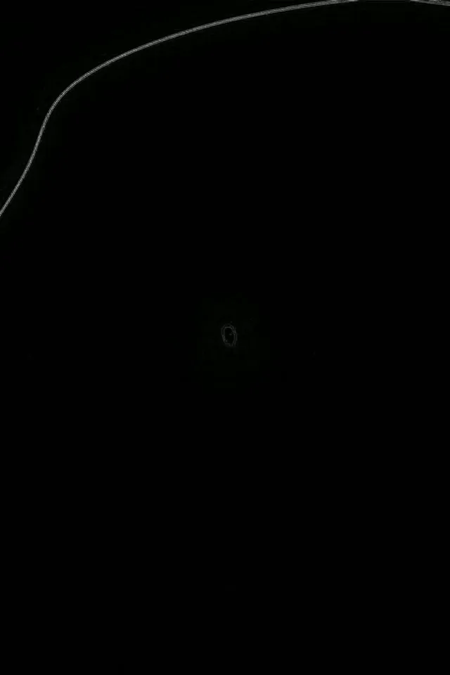 Tuneli ya Neon 2:3 Portrait 60fps Screensaver Vj Loop Organic Blob Curves