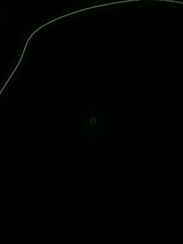 Neon Tonnel Organiese Blob Vorms 3:4 iPad Portret 60fps Skermbewaarder VJ Loop