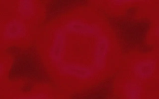 Neon Tunnel Purple Square Vortex Vj Loop 16:10 MacBook 60fps Screensaver