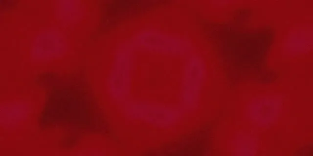 Neon Tunnel Lila Quadrat Vortex VJ Loop 2:1 Univisium 60fps Bildschirmschoner