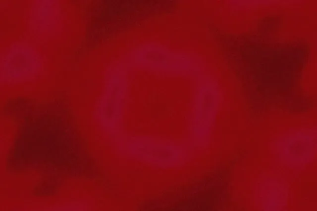 Neon-tunneli Violetti Neliö Pyörre Vj Loop 3:2 Surface 60fps Näytönsäästäjä