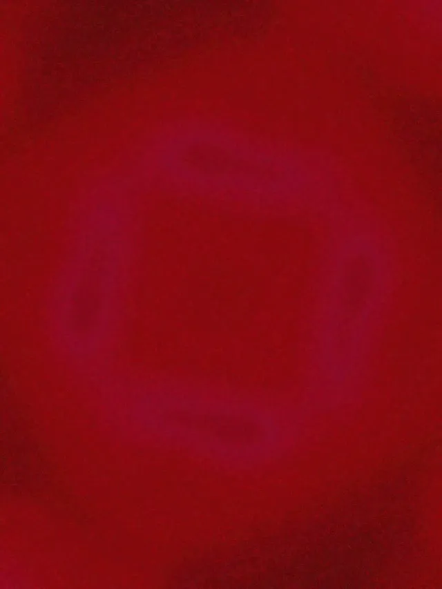 Neon Tunnel Lilla Squircle Hvirvel 3:4 iPad Portræt 60fps Pauseskærm Vj Loop