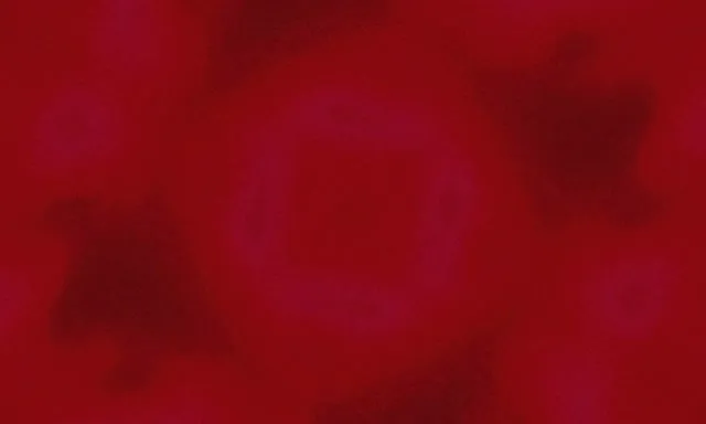 Túnel Neon Morado Cadrado Vórtice Vj Loop 5:3 Ancho 60fps Protector de Pantalla