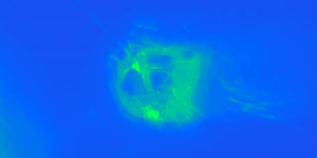 Green Neon Tunnel VJLoops 2:1 Univisium 60fps Screensaver Motion Background