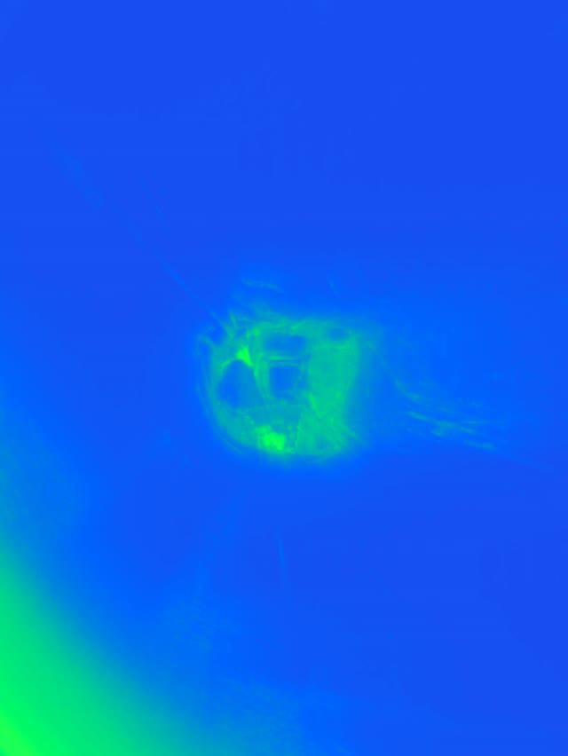 Green Neon Tunnel VJ Loop 3:4 iPad Portrait 60fps Screensaver