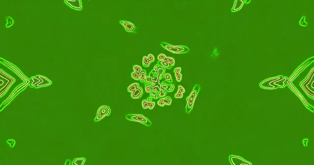 Loop Fundo Movimento Abstrato Divisão Célula Orgânica Verde