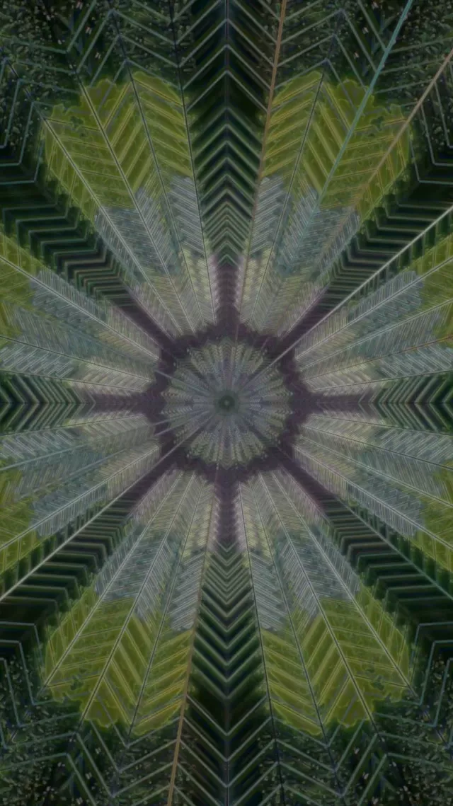 Kaleidoscope Neon Tunnel 9:16 Reels 60fps Screensaver VJ Loop
