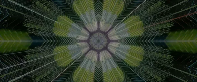 Twnel Neon Kaleidoscope VJLoops 2.39:1 Cinemascope 60fps Screensaver