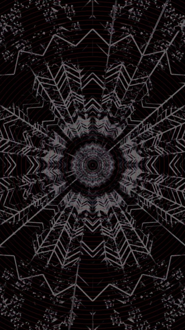 Neon Tonnel Donker Mandala Kaleidoskoop VJLoops 9:16 Reels 60fps Skermbespaarder