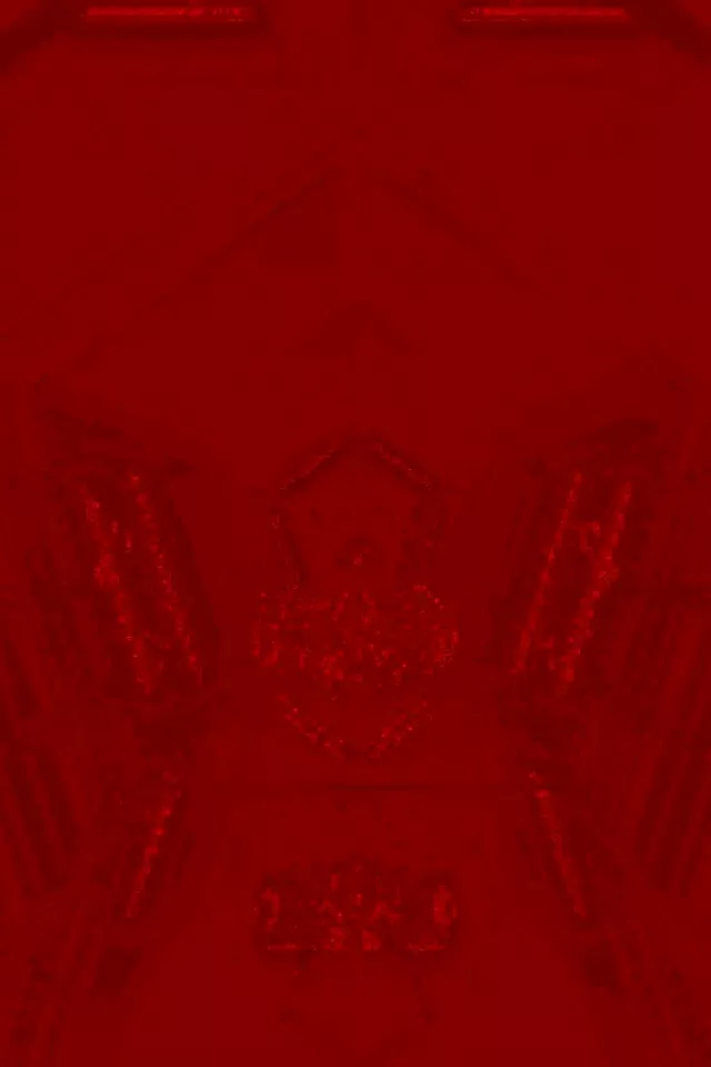 Пікселний Скелет Неоновий Тунель 2:3 Фото Портрет 60fps Заставка VJLoops