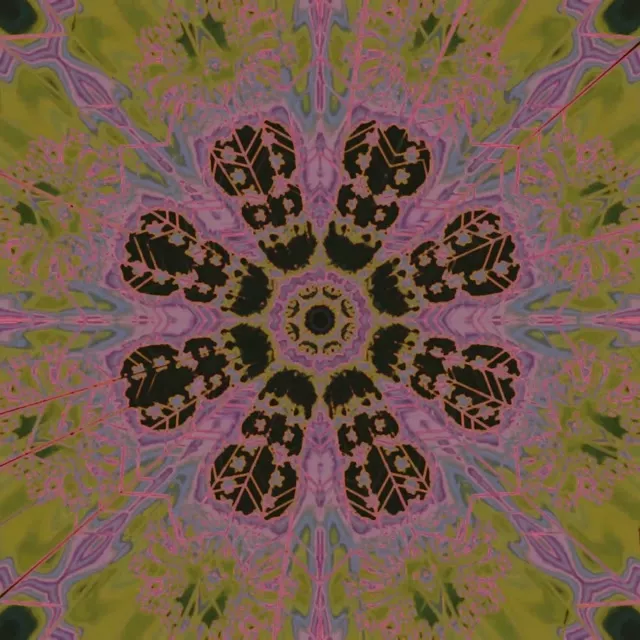 Neon Tunnel Floral Kaleidoscope Vj Loop 1:1 Square 60fps Screensaver