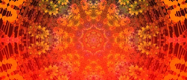 Neon Tunnel Floral Kaleidoscope Vj Loop 21:9 Ultrawide 60fps Screensaver