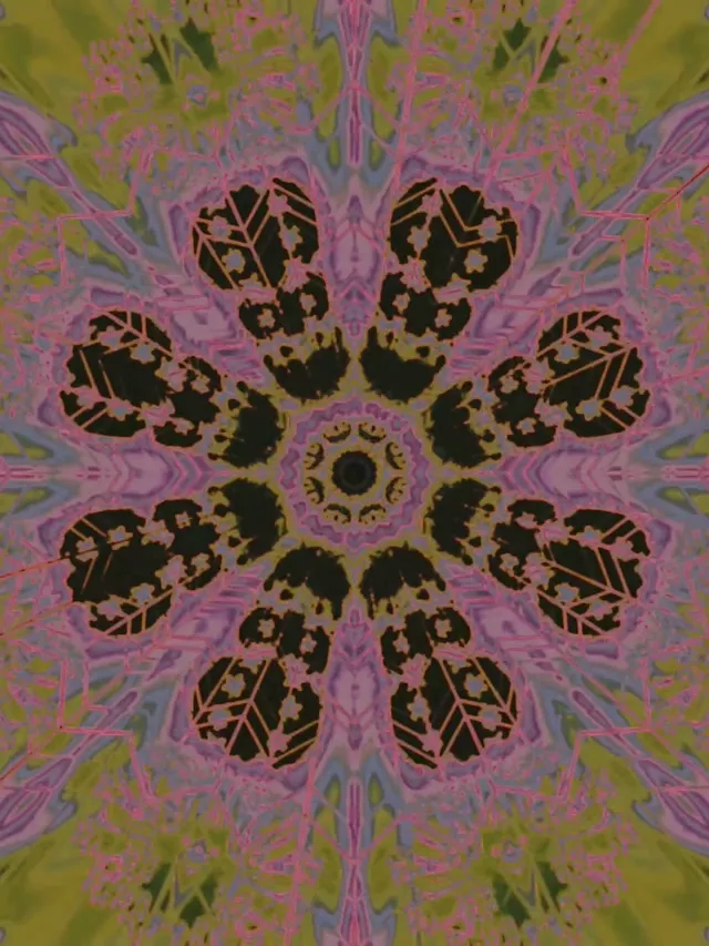 Neon Tunnel Floral Kaleidoscope VJ Loop 3:4 iPad Portrait 60fps Screensaver