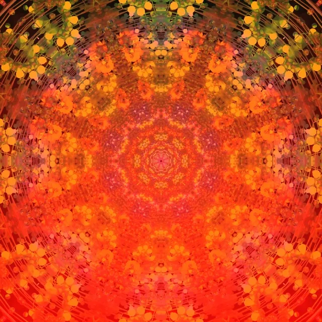 Neon Tunnel Fractal Kaleidoscope Burst 1:1 Square 60fps Screensaver Vj Loop