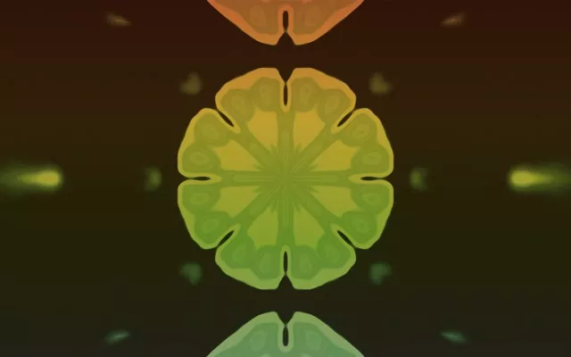 Neon Tunnel Fraktal Mandala Blomstring VJ Loop 16:10 MacBook 60fps Pauseskærm