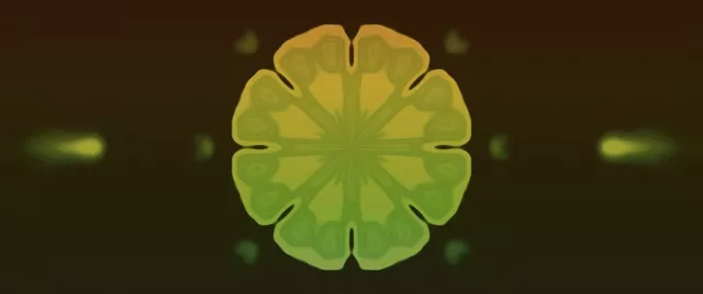 نفق نيون إزهار ماندالا فراكتال VJ Loop 2.39:1 Cinemascope 60fps حافظة شاشة