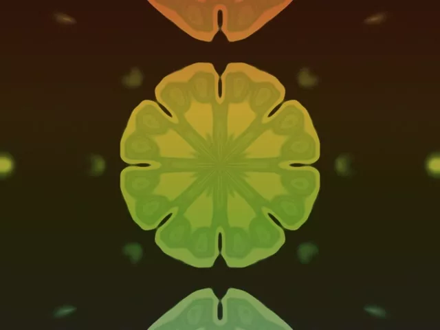 Neontunnel Fraktal Mandala Eksplosjon 4:3 Klassisk 60fps Skjermsparer VJ Loop