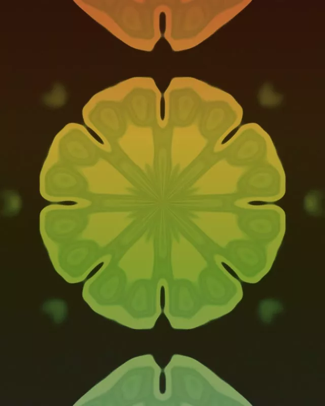 Neontunneli Fraktaali Kaleidoskooppi Räjähdys 60fps VJ Loop 4:5 Instagram Näytönsäästäjä