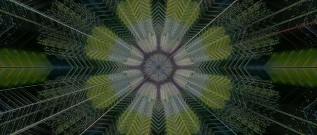 Neon Tunnel Kaleidoscope Burst | 21:9 Ultrawide | 60fps VJ Loop Screensaver