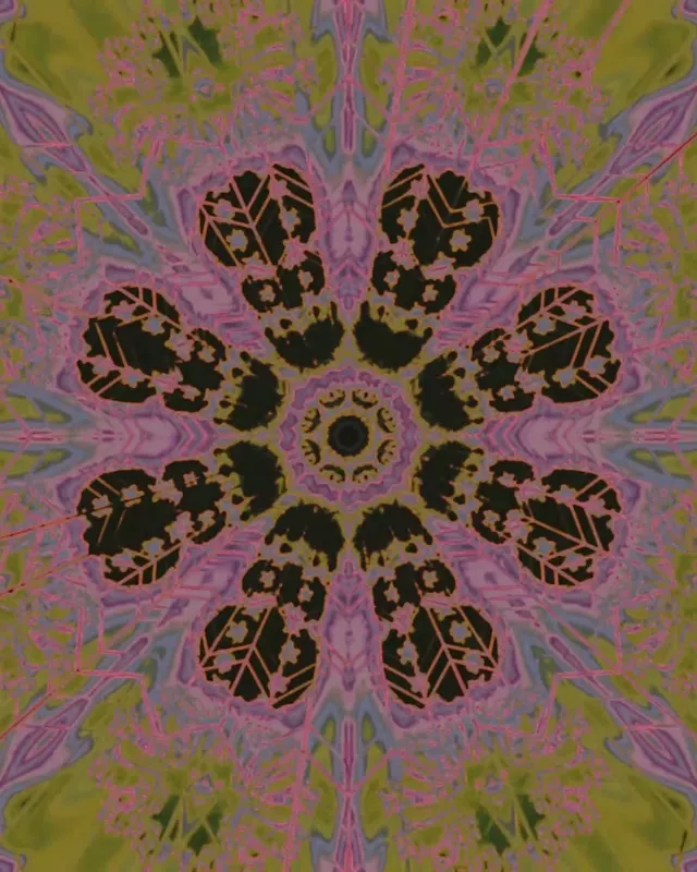 Neon Tunel Kaleidoskop Cvijetni Pucanj VJ Loop 4:5 Instagram 60fps Čuvar Zaslona