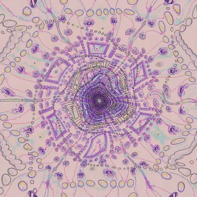 Neon Tunnel Mandala Vortex VJ Loop 1:1 Square 60fps Screensaver