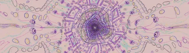 Neon Tunnel Fractal Mandala Vortex 32:9 Ultrawide 60fps Screensaver Vj Loop