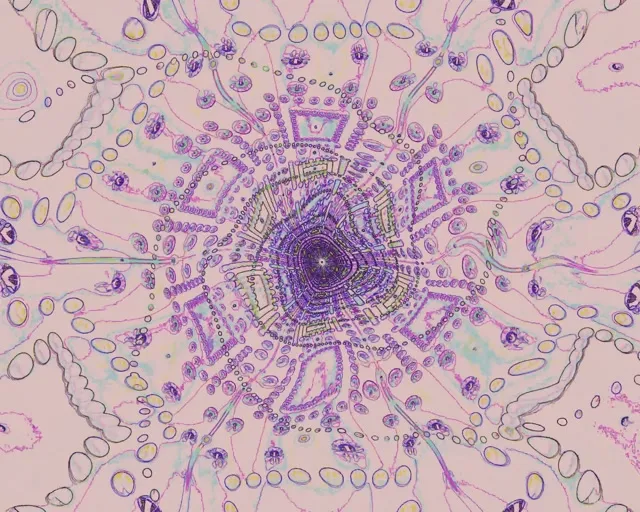 Neon Tunnel Mandala Vortex VJ Loop 5:4 Industrial 60fps Screensaver