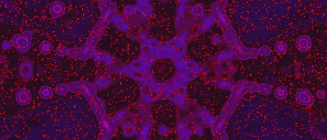 Neon Tunnel Purple Red Cell Vj Loop 21:9 Ultrawide 60fps Screensaver