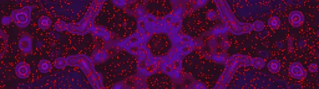 Túnel Neón Morado Vermello Mancha Orgánica VJ Loop 32:9 Super Ultraancho 60fps Protector de Pantalla