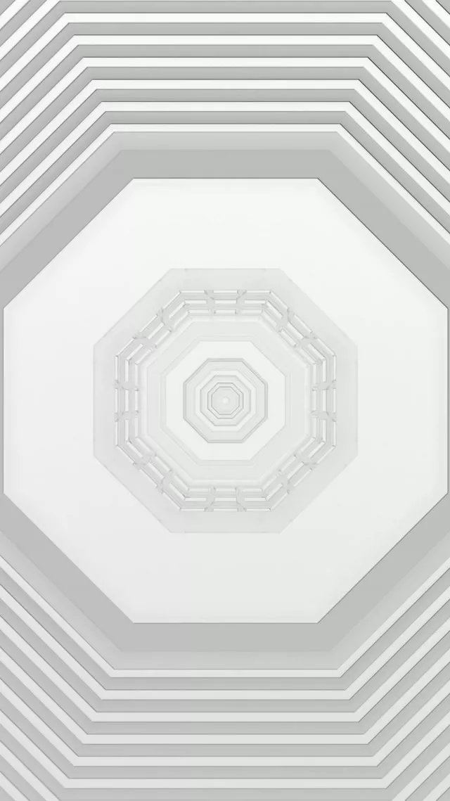Octagonal Neon Tunnel 9:16 Reels 60fps Screensaver Motion Background